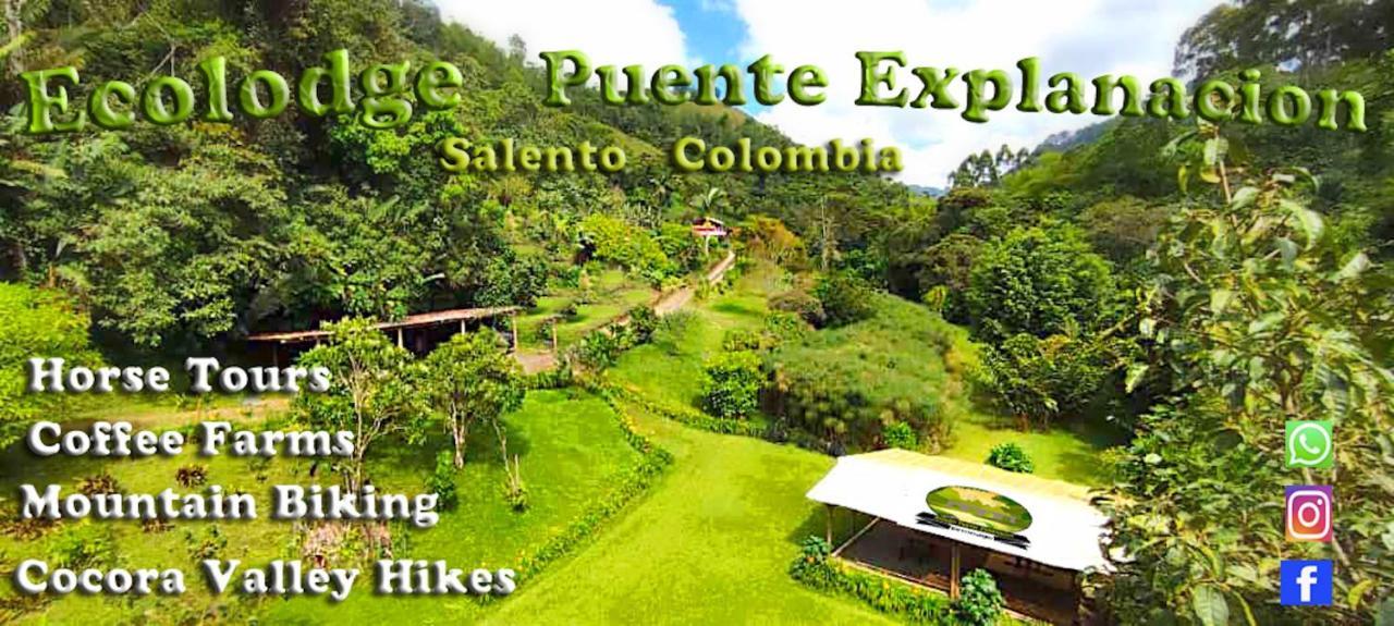 Ecolodge Puente Explanacion Salento Eksteriør billede